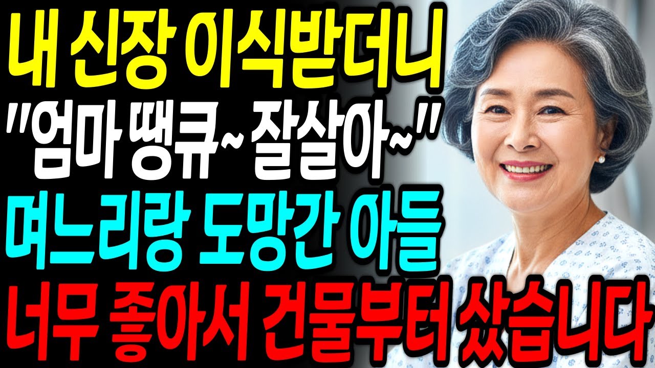 제 신장 이식 받고 며느리랑 도망간 아들, 너무 시원해서 웃으며 건물부터 샀습니다 | 노후사연 | 권선징악 | 오디오북