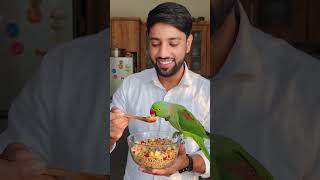देखो दोस्तो मेरा तोता कितना सुंदर है 😍