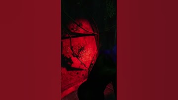 TRICKSTER JUST DIDN’T WANNA CHASE ME ANYMORE !! 😢🥺😔 #DEADBYDAYLIGHT #SHORTS #DBDSHORTS #DBD