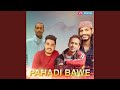 Pahadi bawe