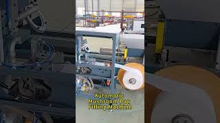 The machine for packing spawn bag #production #machine #mushroom #spawnbag