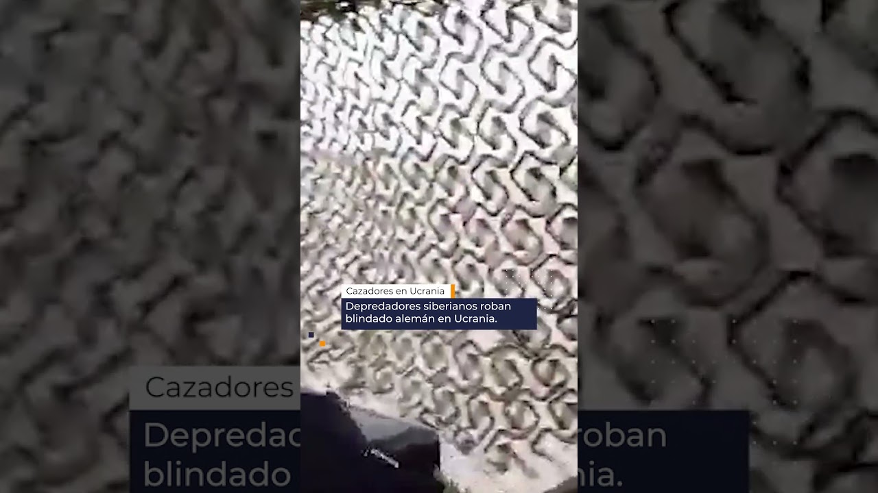 Depredadores siberianos roban blindado alemán en Ucrania | Yakutos capturan tanque alemán Leopard-2