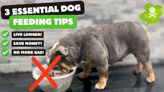 Extend your dog's life and save money with these simple free dog feeding techniques! by The Bulldog Breeder 1,531 views 1 month ago 7 minutes, 2 seconds