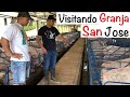 Como CRIAR LECHONES🐷🍼🐷GRANJA porcina SAN JOSE -PARTE 1 -CAPITULO 10.1 -VISITANDO granjas PORCINAS