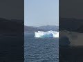 Arriving in Nanortalik, Greenland. July 2023 Norwegian Star #greenland #norwegianstar #seetheworld
