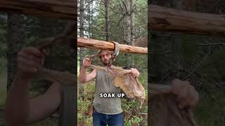 Making Brain Tanned Buckskin