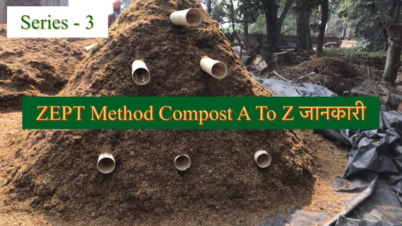 Zero Energy Poly Tunnel | Mushroom | Mushroom Farming | Button Mushroom Compost Method | Seson -3
