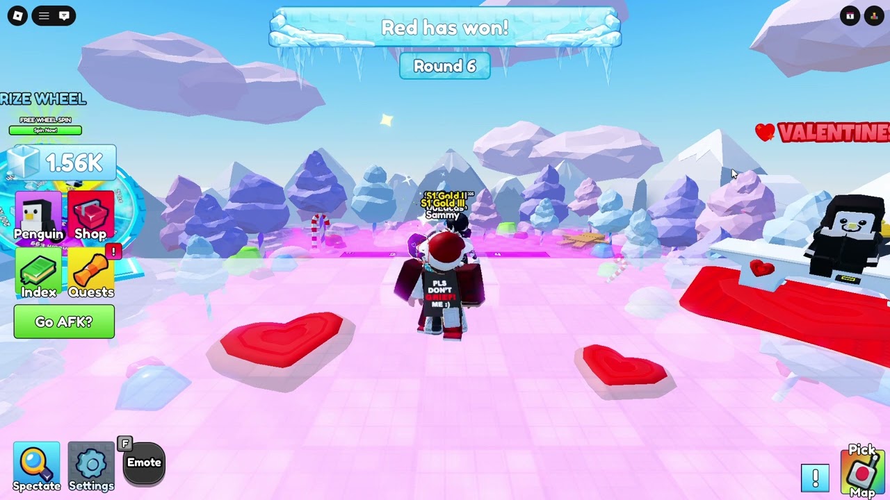 today i played with my brother and my sister