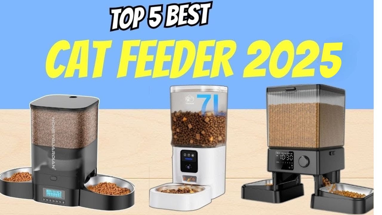 op 5 Best Cat Feeders for Two Cats & Multi-Pet