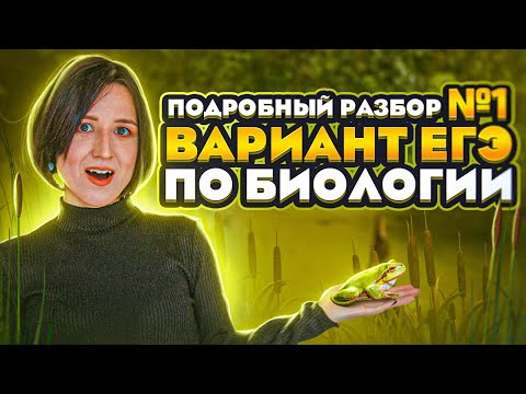 ЕГЭ по биологии. Разбор варианта №1 Кириленко (Легион) | ЕГЭ-2024 по биологии