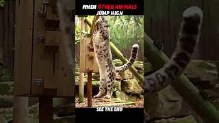 Other Animals Jump… But a Tiger Jumps 5 Meters High! 🐅🔥 #trending #animals #wildlife #tiger #short