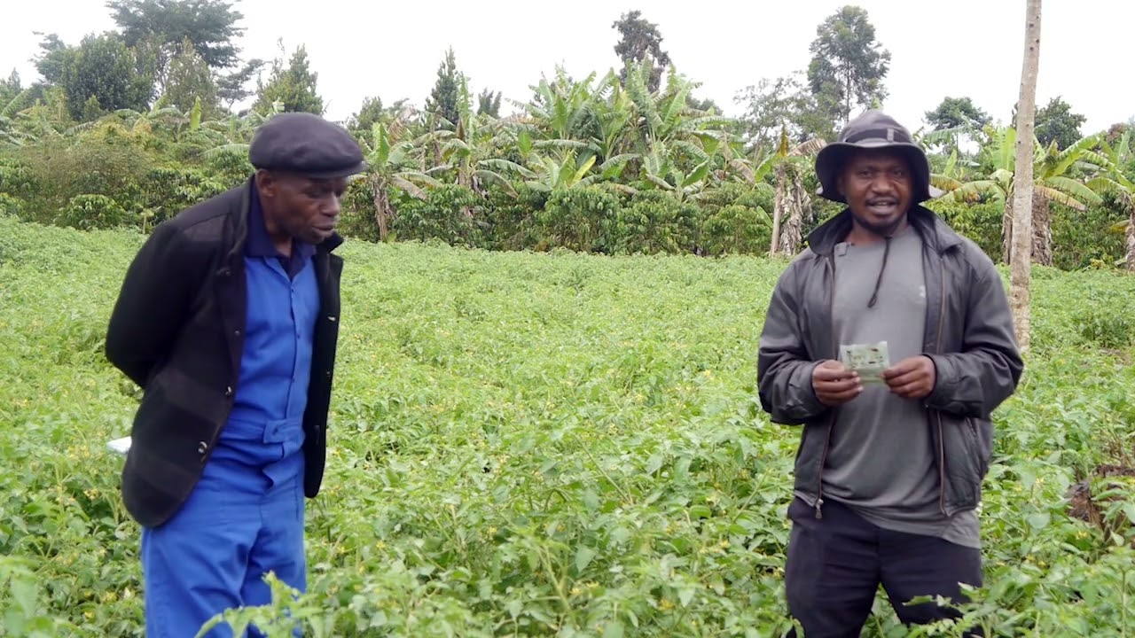 Okulima enyanya ne ETG  part one