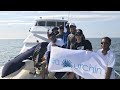 Pure fishing team  sea urchin live aboard trip in kuala rompin