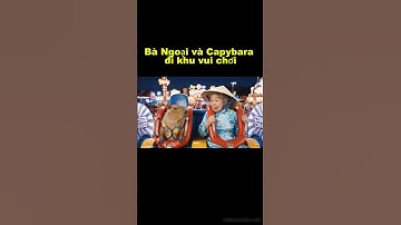 Capybara & Bà Náo Loạn Khu Vui Chơi ! ,#capybara ,#funny,,#ba ,#troll ,#youtubeshorts
