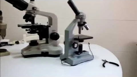 ¿Cuál es la diferencia entre la lupa y el microscopio?