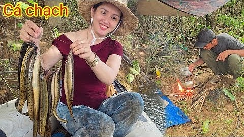 Cùng Vợ Đi Cắm Câu Cá Chạch Trúng 1 Bầy Cá Chạch Sông / Câu Cá Cắm Trại Nấu Ăn Trên Sông 