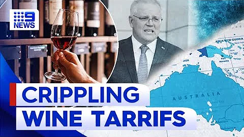 Positive signs China wine trade tariffs could be abolished | 9 News Australia - DayDayNews