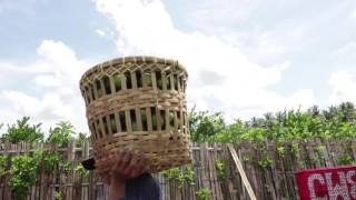 PROFIL DESA BENCULUK