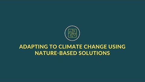 How nature helps us adapt to climate change - nature-based solutions for climate change