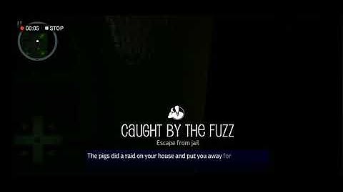 Payback 2 caught by the fuzz speedrun