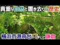 貴重な自然に触れ置き去りの歴史に思いを馳せる【港南台～鎌倉】