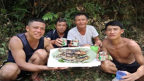 Quăng Chài Bắt Cá || Toss Fishing