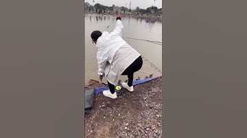 Chủ hồ sẽ không thích điều này #chungnguyenfishing #shorts