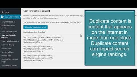 Easy SEO Toolbox Scan for duplicate content Tutorial