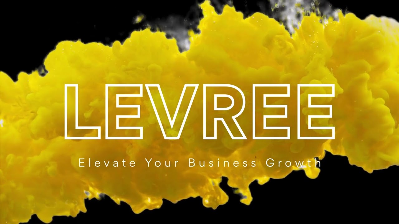 Build. Grow. Scale. | Digital Marketing by Levree