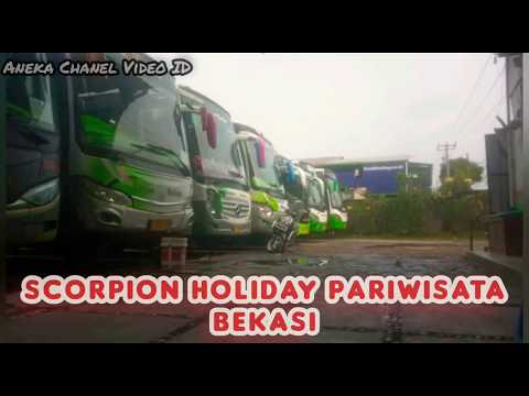 Ini Dia Deretan PO Bus Pariwisata Terbaik di Indonesia