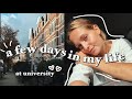 a few days in my life going to Radboud University 📚 {studying in the Netherlands}