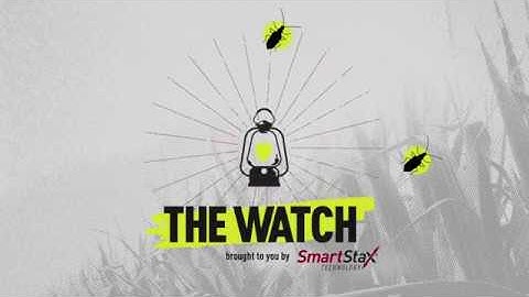 Predicting Corn Rootworm Pressure | The Watch