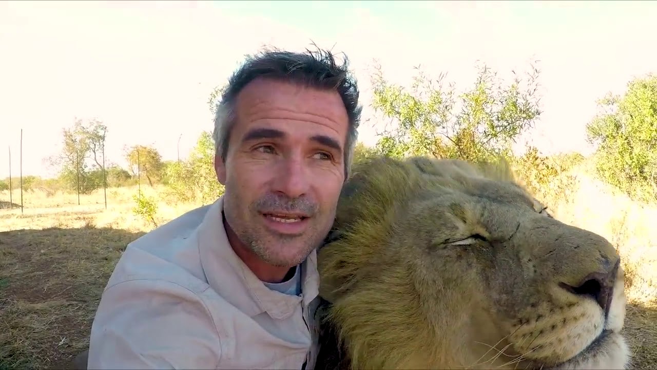 Bobcat Has Something To Say - The Kevin Richardson Foundation