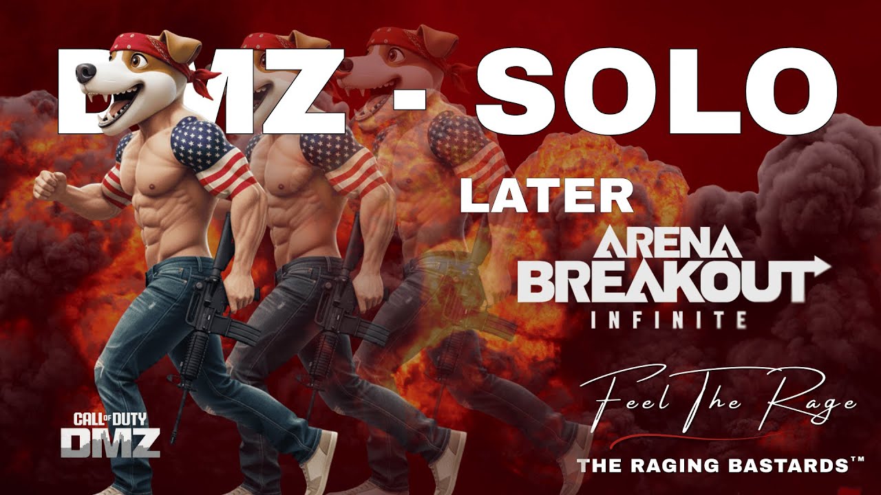 DMZ - Arena Breakout Infinite Solo