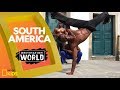 Exploring The Wonders Of South America’s Ecosystems And Natural Landmarks