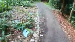 Testing Mobius action cam on Mountain bike trail