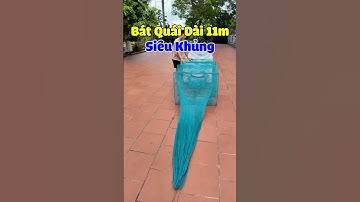 Bát Quái Khủng 80 x 100cm Dài 11m - Nặng 9kg - Măt 1,8cm Sợi 3 #luoidanhcaatrung