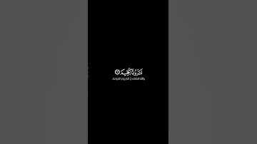سورة التكاثر #القرآن_الكريم #ياسر_الدوسري #شاشة_سوداء