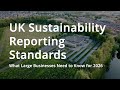 Big Changes Ahead: What UK SRS Means for Business Sustainability Reporting