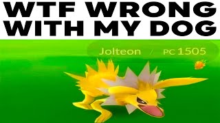 POKEMON MEMES V209