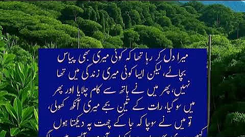 Heart Touching Story 