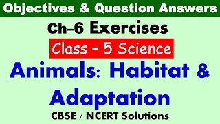 Animals : Habitat and Adaptation - Class : 5 Science || Exercises & Question Answers|| CBSE / NCERT