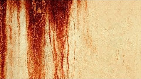 Blood on the Clocktower BotC 11/21/2020 Homebrew Script Ides of Blood - Medicine Man