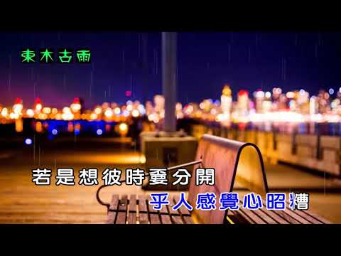 雨聲哭聲分袂清 江蕙