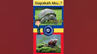 Tebak Tebakan Hewan Part 5 #tebaktebakan #hewan thumbnail