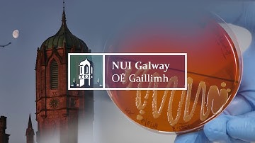 Use of Swinnex filtration for membrane mating (2 of 4)