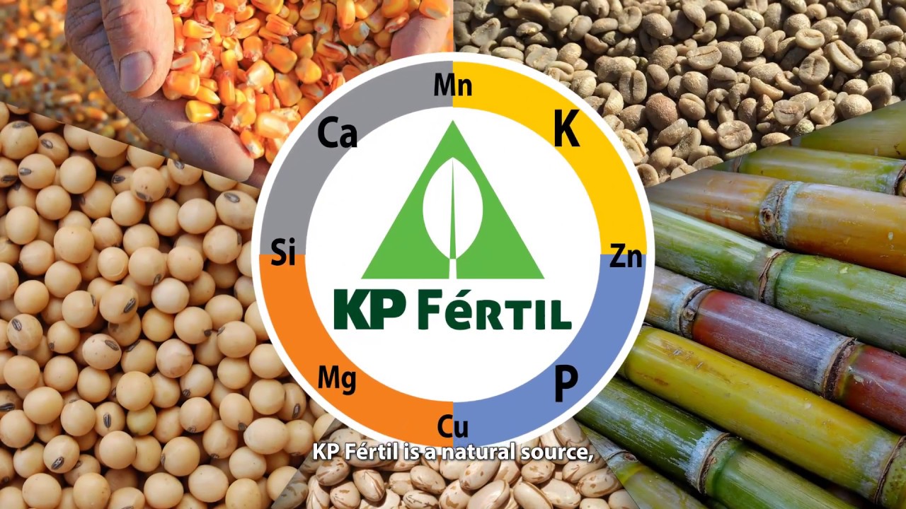 Lançamento do KP Fértil (Full HD)