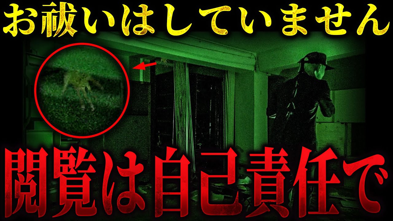 【閲覧注意|夏SP】ハッキリと映ってしまいました... やはり「杉屋」は伊達じゃない... 過去一の恐怖映像をご覧ください【トリハダ全員集合】【後編】