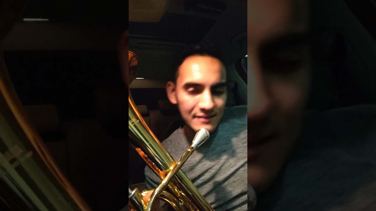 🎶ARREGLOS Y CUERDAS EN (TONO DE RE) PARA LA ARMONÍA. (SOL) PARA LA TUBA. ✍️