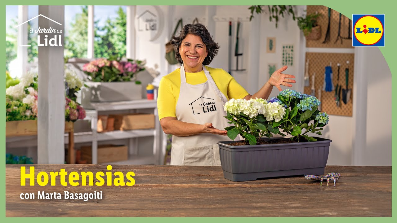 Cómo cuidar la hortensia 🪻| El Jardín de Lidl | Lidl España